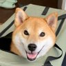 ほ-さま profil fotoğrafı