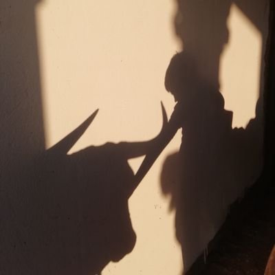 AlvaroGomezzzz's profile picture