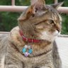 Фото профиля ku-chan
