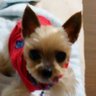 pomta🐶🧑⚖️🐦⬛☖🌻🍞🔪🌵🎈 的头像
