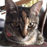 おガスかん 的头像