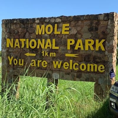 MolePark's profile picture