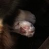 Yuki's profile picture