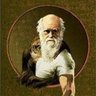 Profilbild von Escrivão Isaías Caminha©