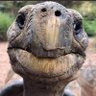 R's profile picture
