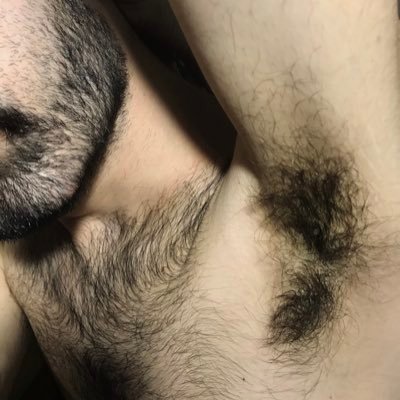 mlkpeludopig's profile picture