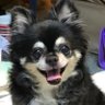 真田信行's profile picture