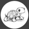 paceofatortoise's profile picture