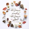 بندر محمد profil fotoğrafı