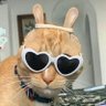 Profilbild von si, yo 😸