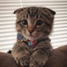 the winnie's profile picture