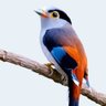 yumiko profil fotoğrafı