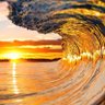 Profilbild von SurfIsUp 🌊🏄🛸
