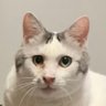 けいちゃん profil fotoğrafı