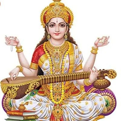 speakshoutroar's profile picture