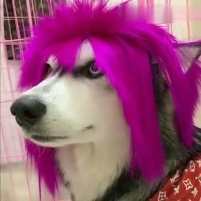 wilson_wei_1426's profile picture