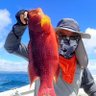Profilbild von ゆーいち🎣🚲 インリーフ大好き👍