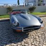 Giulliano Koehler Ferrari's profile picture
