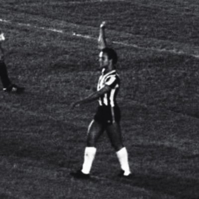 VersosdoGalo's profile picture