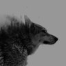 Profilbild von Steven Crane