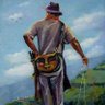 Antararenas58's profile picture
