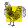 B. Chicken profil fotoğrafı