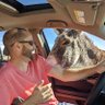 Trevor Rasmussen's profile picture