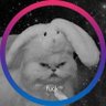 Julicense🇨🇴🏳️🌈 profil fotoğrafı