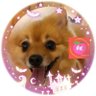 ゆーたろ profil fotoğrafı