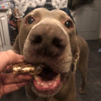 jen_efc's profile picture