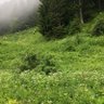 أبو عبدالله profil fotoğrafı