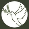 Cypriot 🕊▪️ profil fotoğrafı
