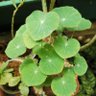 Фото профиля อะไรของกรูเนี่ยะ