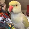 TopGundy7 profil fotoğrafı