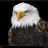progresa sonora's profile picture
