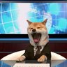 🍁Emotional Support Canadian #421🇺🇦's profile picture