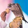 Фото профиля مفلح الريض