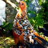 PatriotEire🇮🇪🇮🇪🇮🇪 profil fotoğrafı