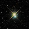 Фото профиля Aloe-Albireo-0447