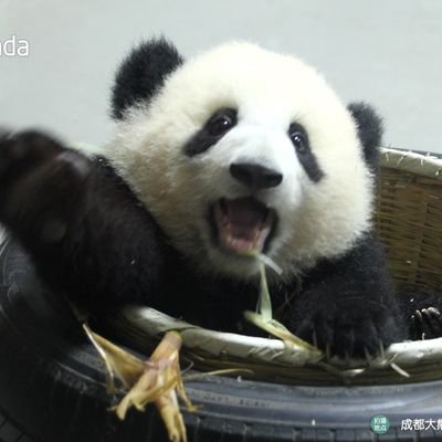 9kuir's profile picture
