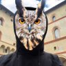 Khulio profil fotoğrafı