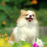 Profilbild von ドクターKK