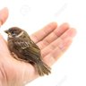 pterkarnja profil fotoğrafı