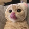 Profilbild von mel