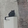 Thatgirl profil fotoğrafı