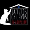 GatitosChilenos's profile picture