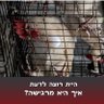 רמי רוטנברג رامي روتنبرغ profil fotoğrafı