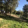 عادل الغامدي 的头像