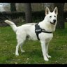 ali profil fotoğrafı