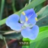 minami profil fotoğrafı
